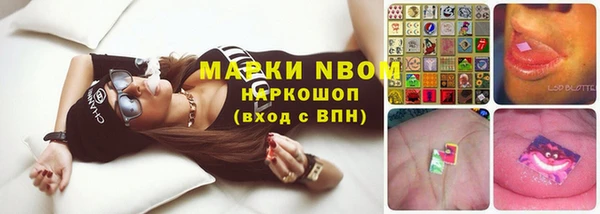 стаф Алексин